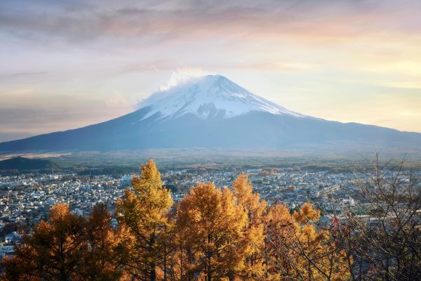 Tourist admiring Mt. Fuji in autumn, Japan